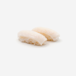 Ika nigiri